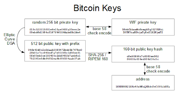 Ecc public key